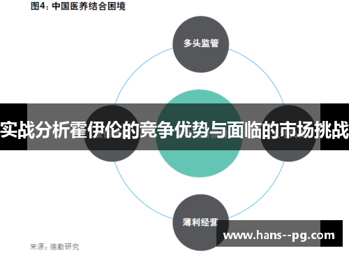 实战分析霍伊伦的竞争优势与面临的市场挑战 实战分析霍伊伦的竞争优势与面临的市场挑战